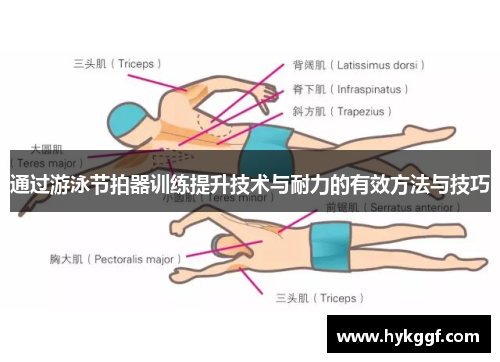 通过游泳节拍器训练提升技术与耐力的有效方法与技巧